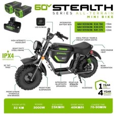 Greenworks 60v Mini Bike flyer